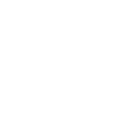 icon-apple-podcast-256
